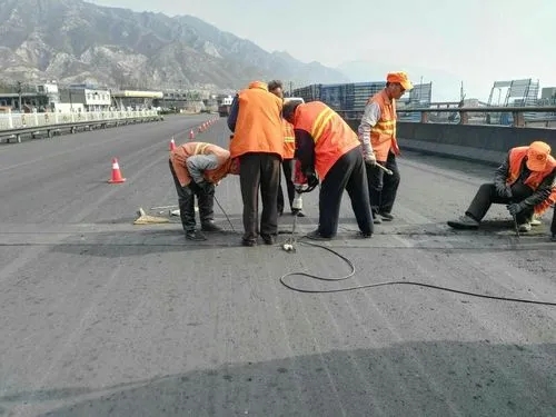 平湖道路桥梁病害治理